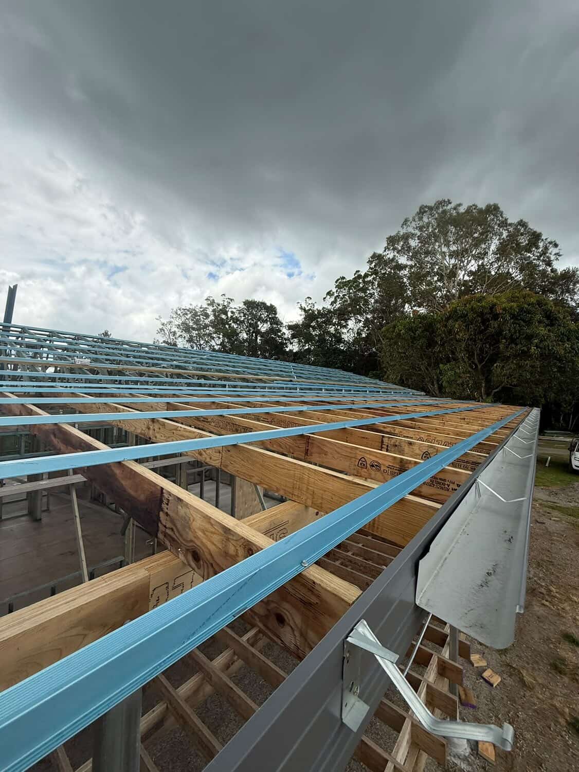 Professional Roofing Services